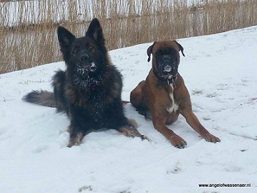 Samen op de kiek in de sneeuw